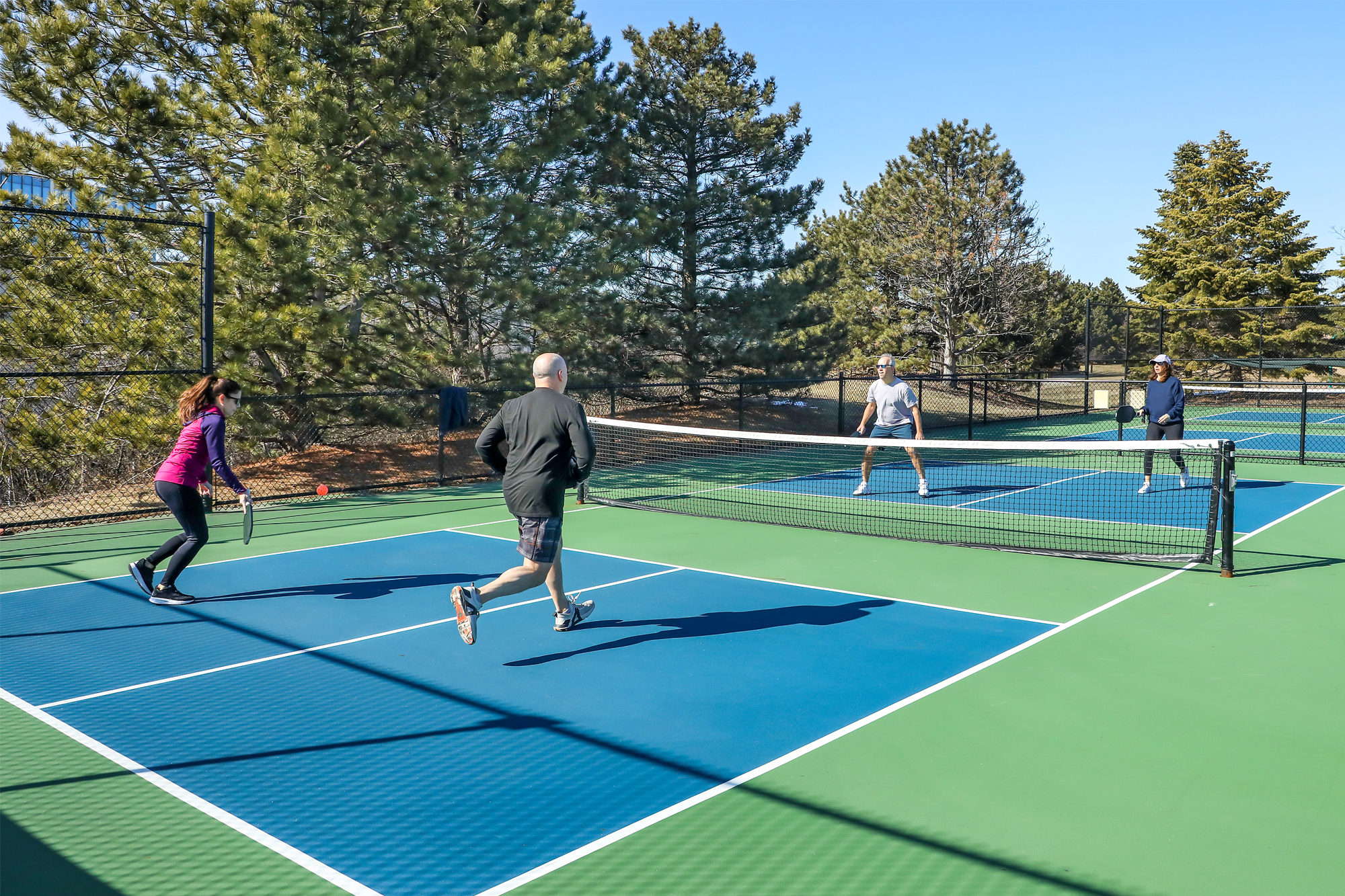 Pickleball Court